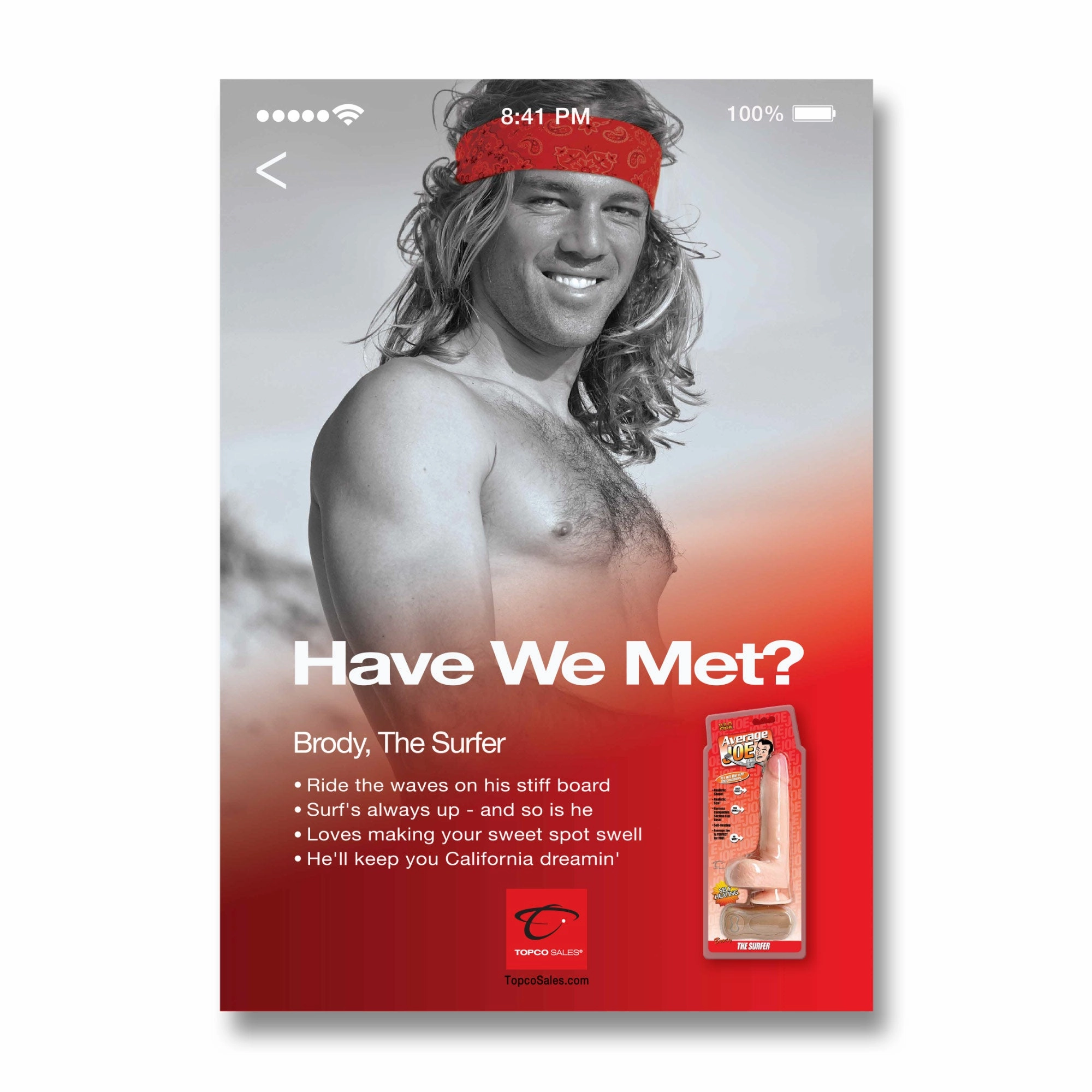 Average Joe® Have We Met... Double-Sided Posters, Set of 6 (11 x 17)