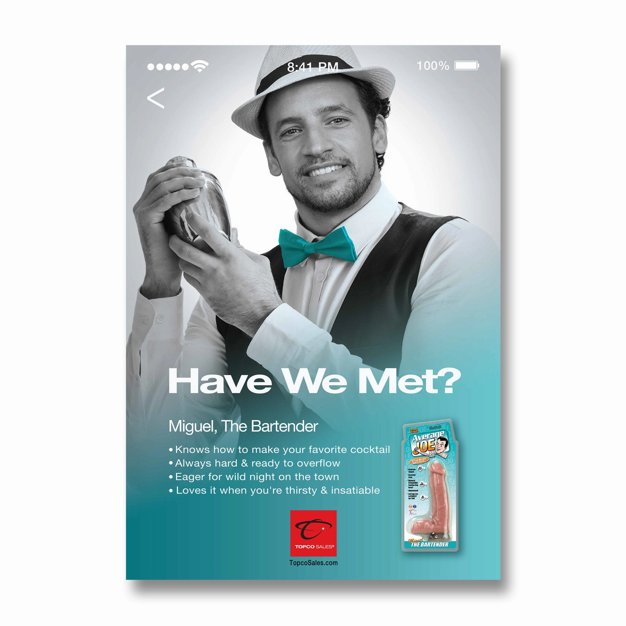 Average Joe® Have We Met... Double-Sided Posters, Set of 6 (11 x 17)