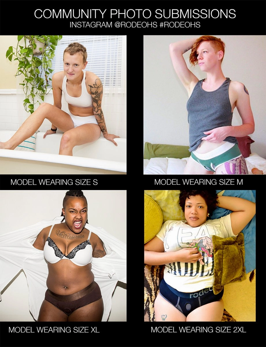 Brief  Harness - Birds - 3X