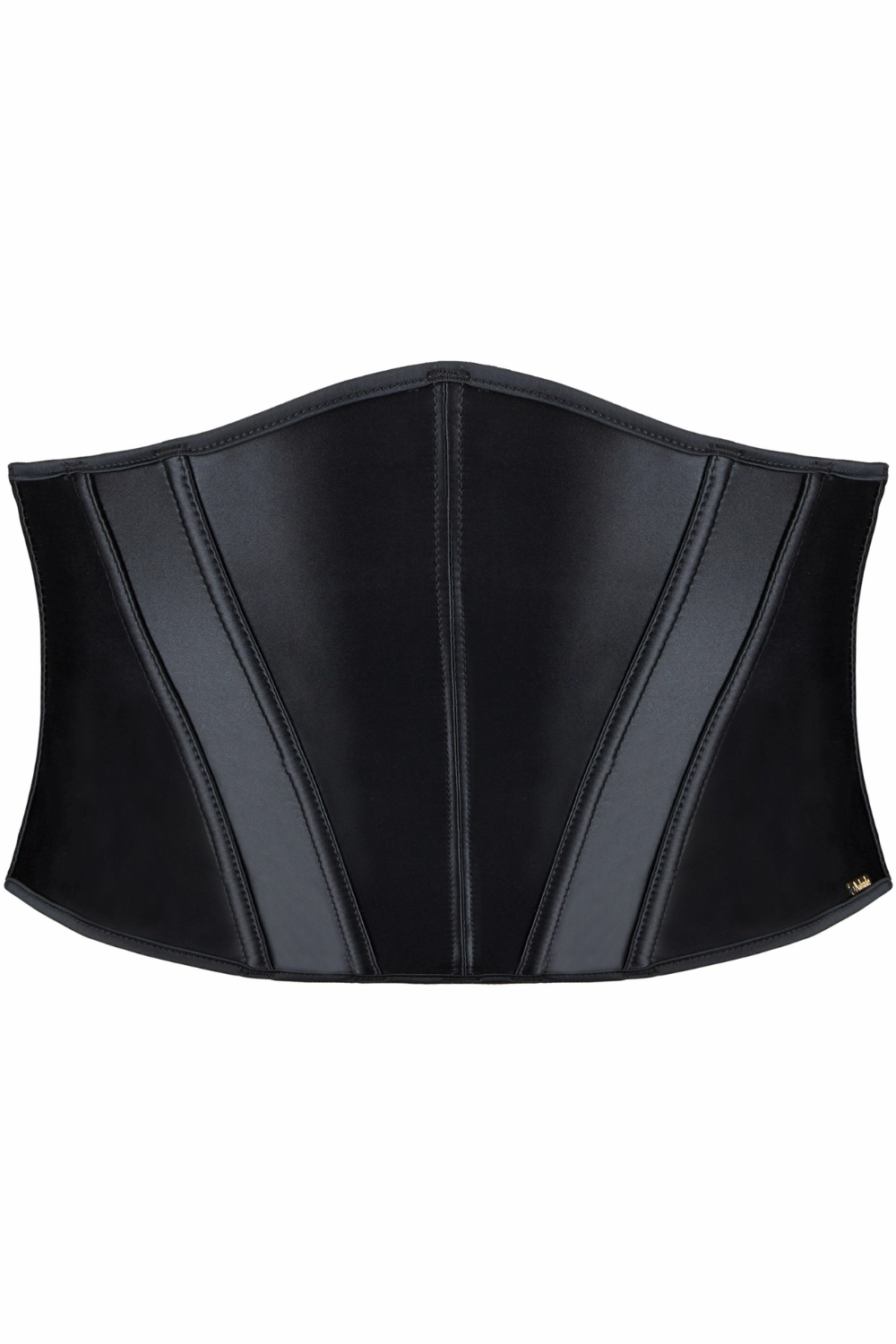 Iconic Allure Satin Waist Cincher