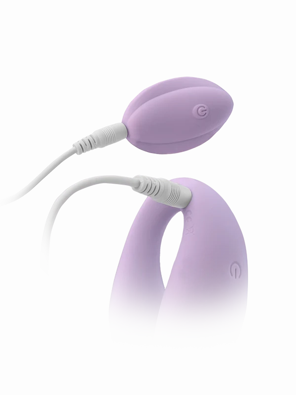 In Sync Remote Controlled Couples Vibrator - NEW!