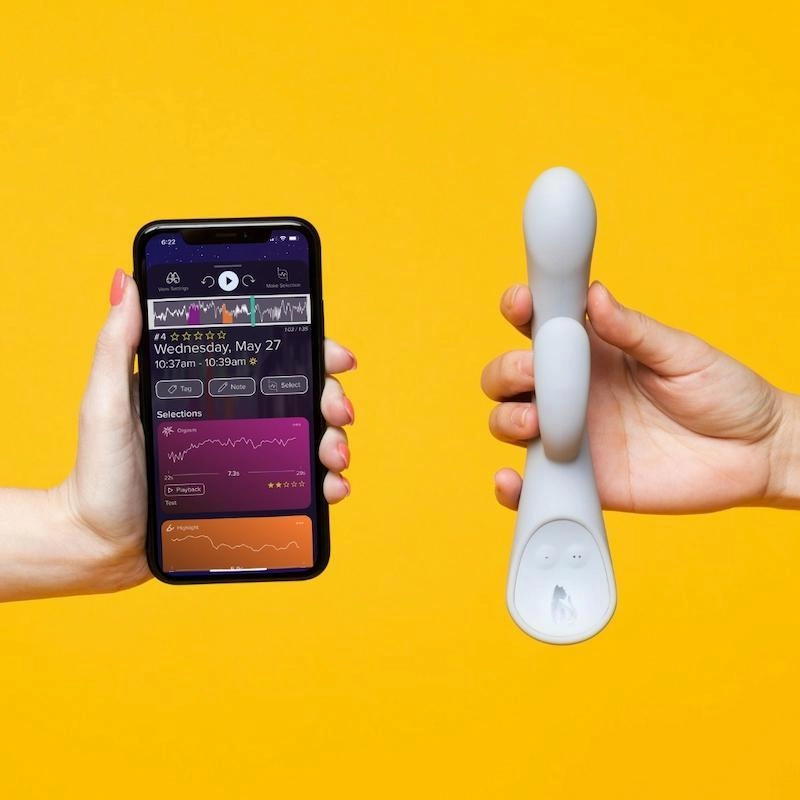 Lioness Vibrator   Dog Toy Bundle