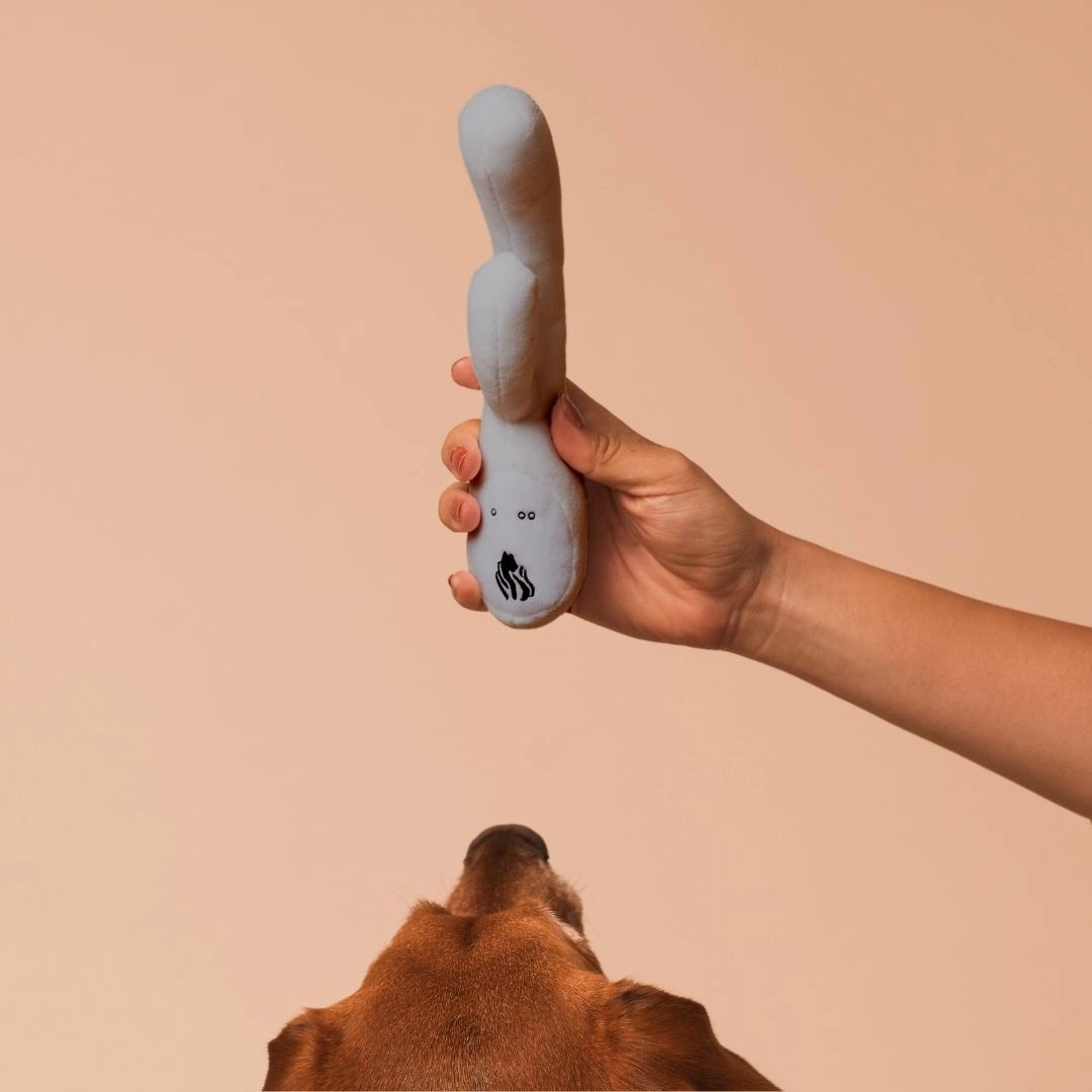 Lioness Vibrator   Dog Toy Bundle