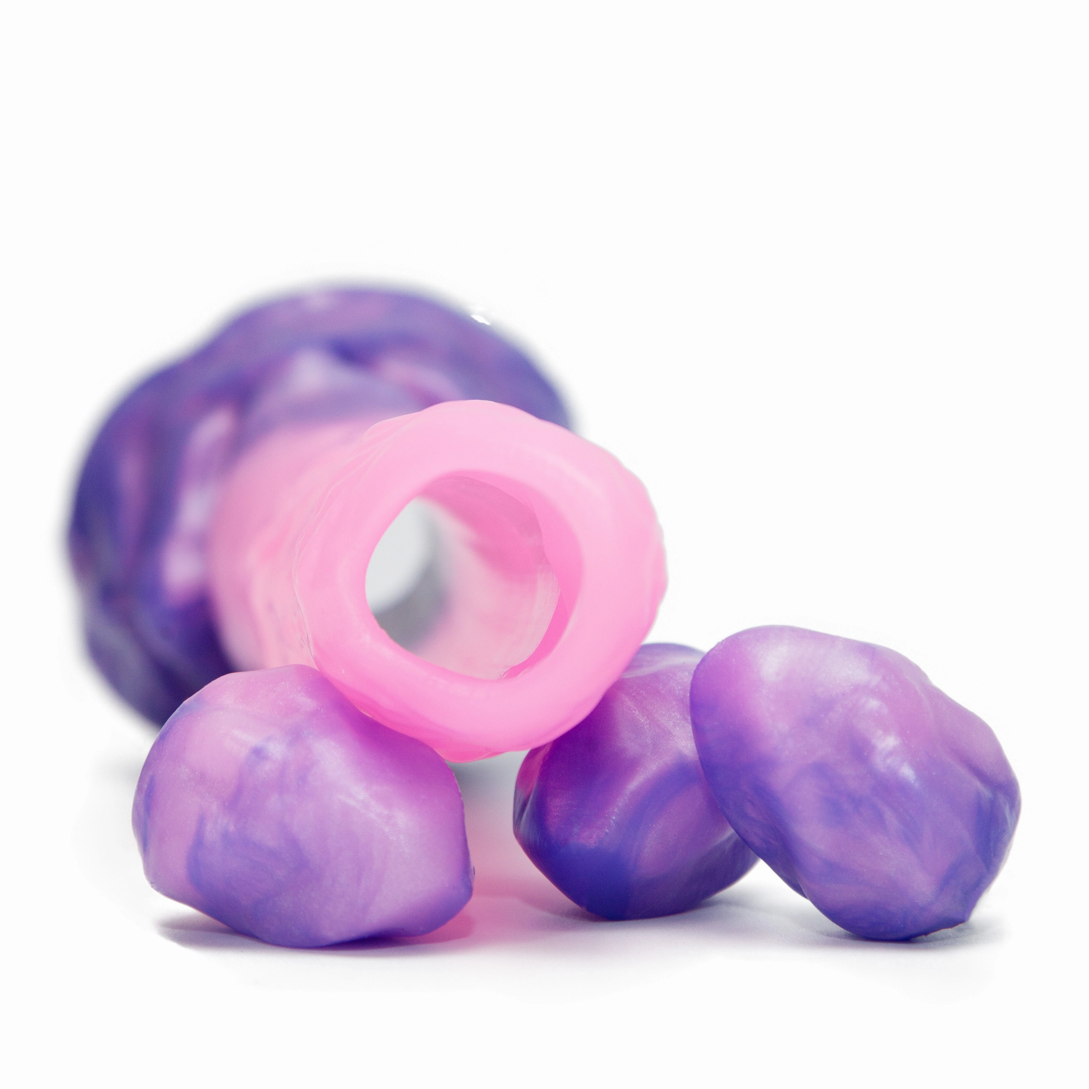 Surprise Me Min the Egg Layer Ovipositor with Eggs Clutch