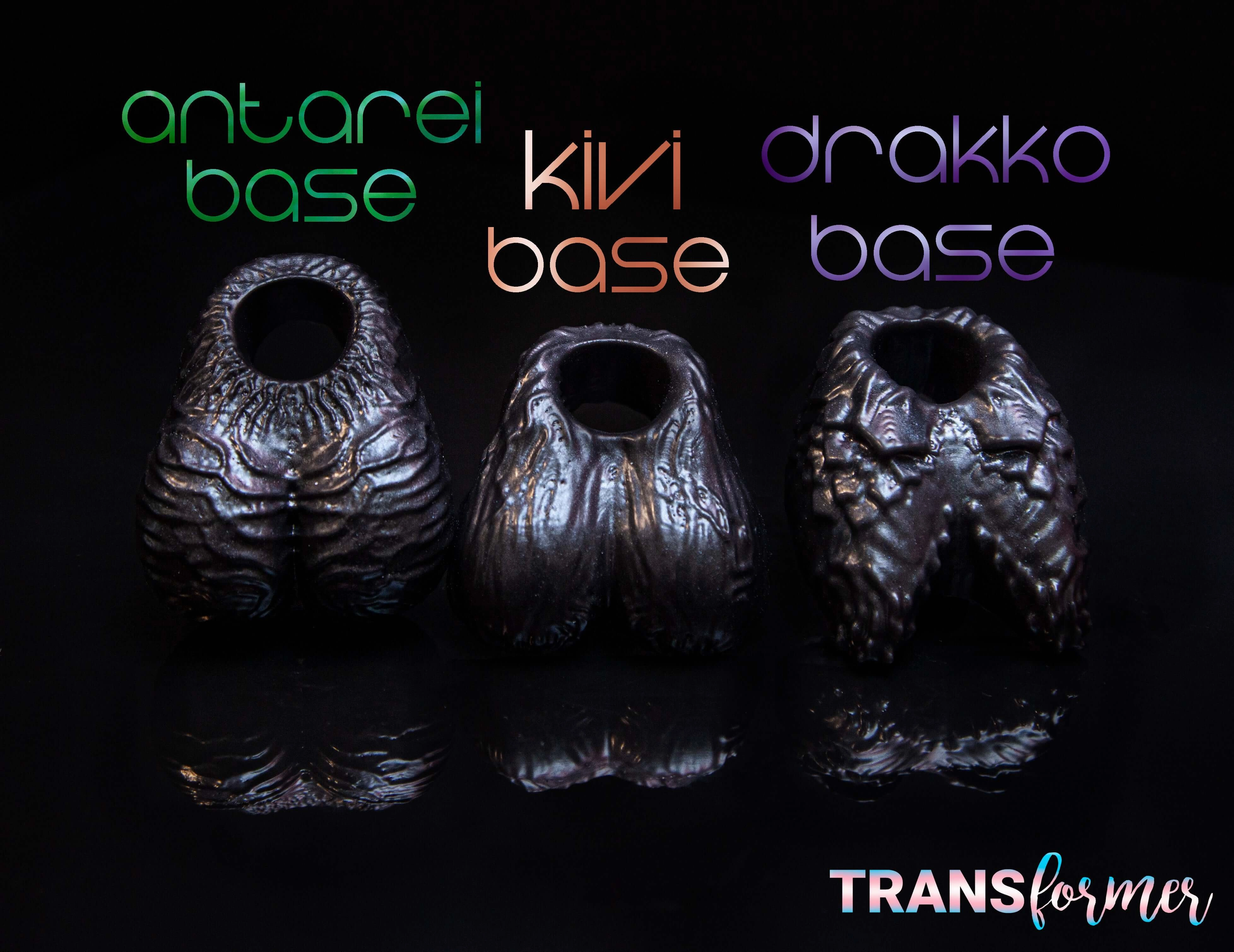 TRANSformer Bases