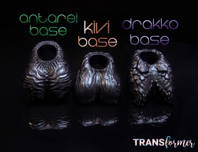 TRANSformer Bases